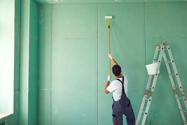 Best Post-Construction Mold Inspection  in Greenwood, MO