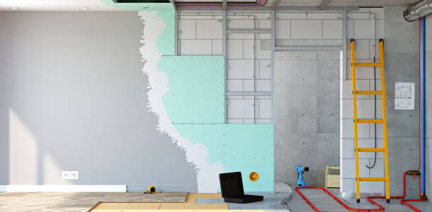Best Mold Documentation for Insurance Claims  in Greenwood, MO