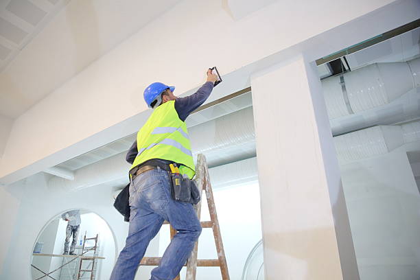 Best Asbestos and Lead Testing During Mold Inspection  in Greenwood, MO