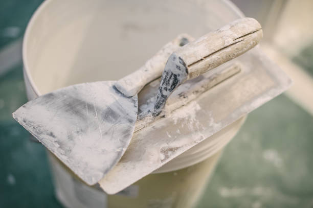 Best Environmental Consulting for Mold Prevention  in Greenwood, MO